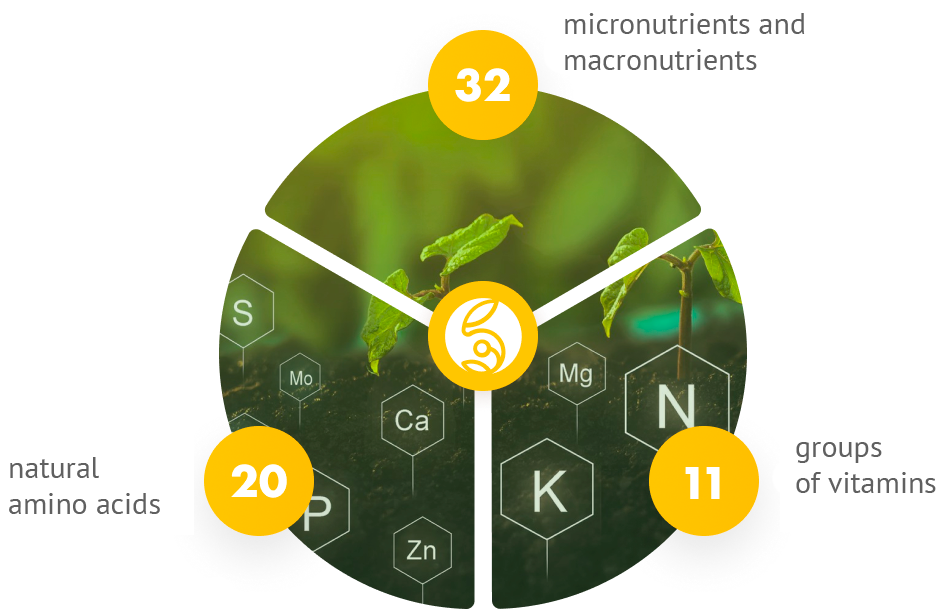 ECOBIOSPHERE